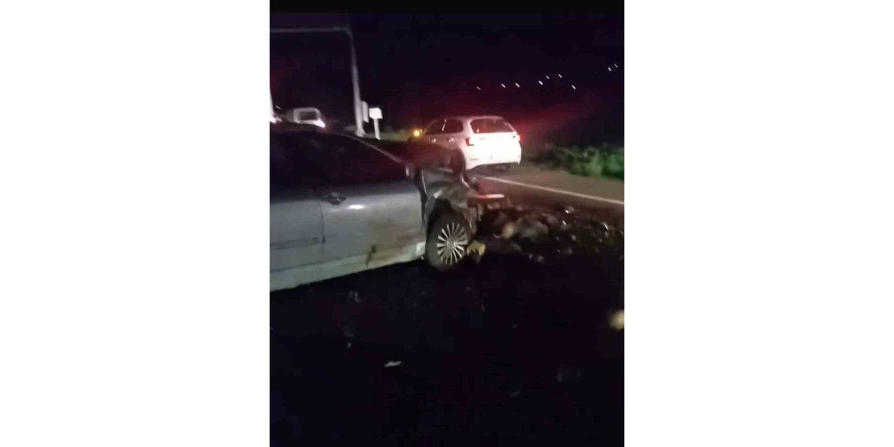 Iğdır’da otomobil hayvan sürüsüne çarptı: 25 koyun telef oldu