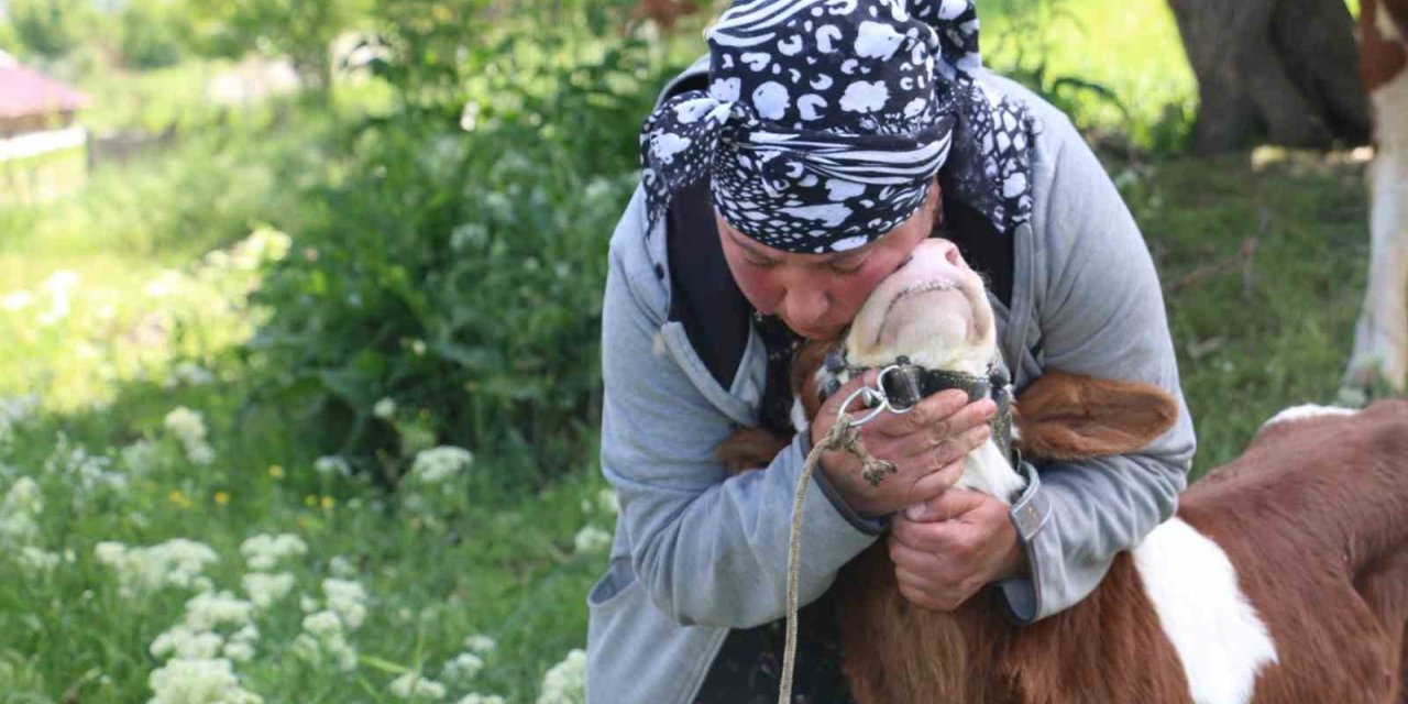Gürcistanlı Nino, Erzincan çiftçiliğine renk katıyor