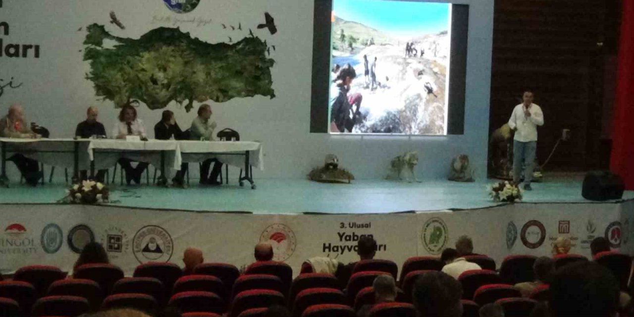 Van Gölü’nün oluşumu ve inci kefalinin mücadelesi