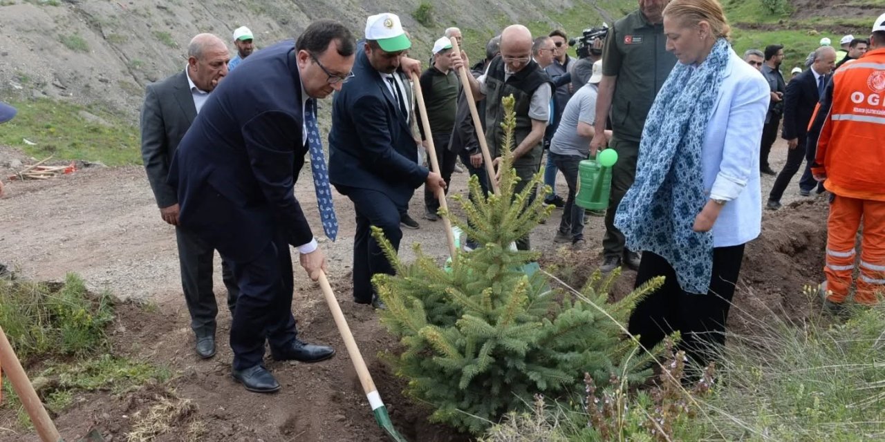 TBMM’nin 105. yılı anısına 105 bin fidan toprakla buluştu