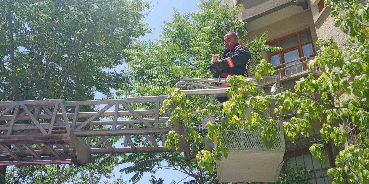 Malatya’da metruk evin penceresine sıkışan kedi itfaiye tarafından kurtarıldı