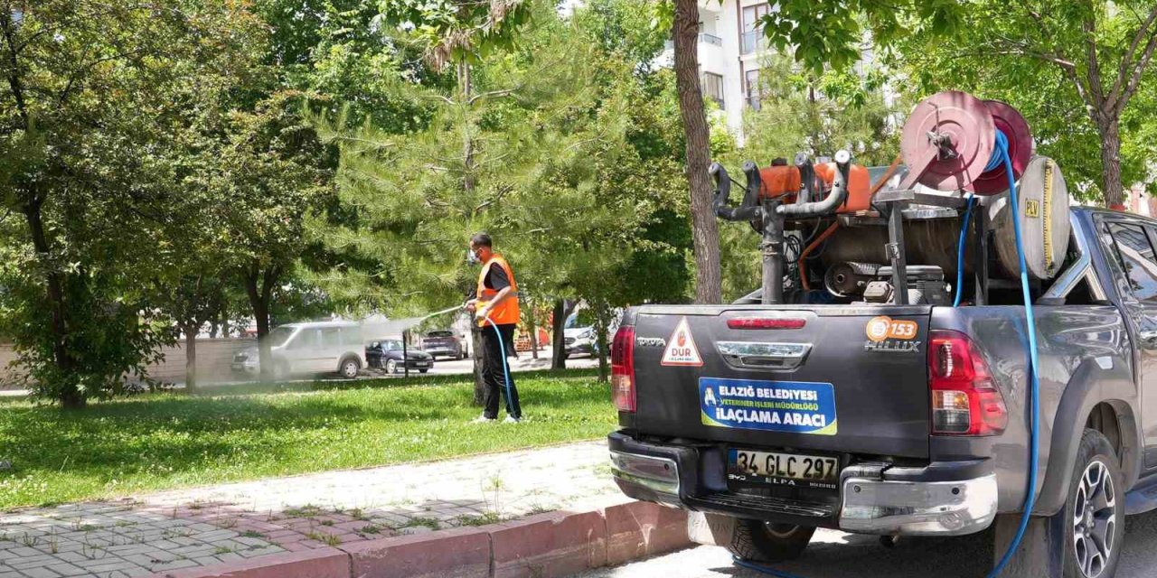 Elazığ’da ilaçlama çalışmaları sürüyor