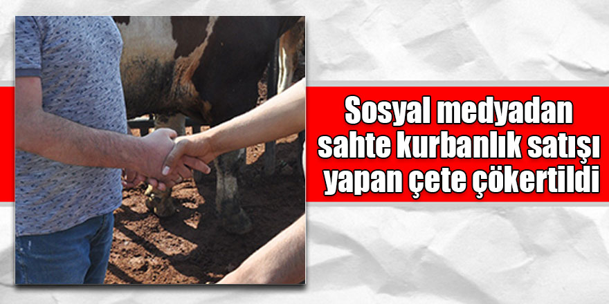 Sosyal medyadan sahte kurbanlık satışı yapan çete çökertildi