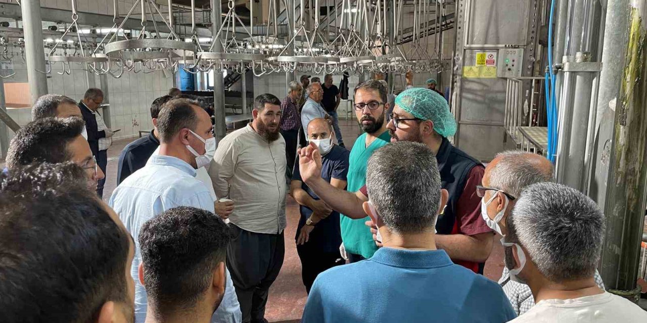 Malatya Büyükşehir Belediyesi’nden vatandaşlara ‘sertifikalı kurban kesim elemanı’ eğitimi