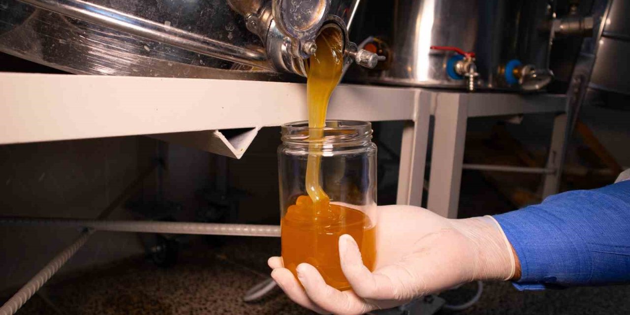 Ardahan Çiçek Balı ve arı ürünlerinde kalite için teknik destek sözleşmesi imzalandı