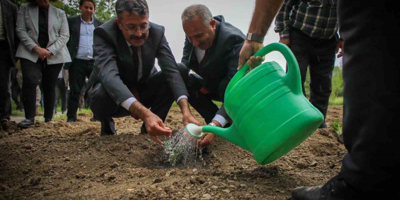 Vali Ali Çelik: "Bu toprakları birlikte yeşerteceğiz"