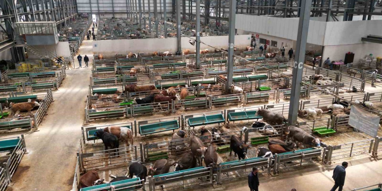 5 yılda 2 milyon kişi ziyaret etti