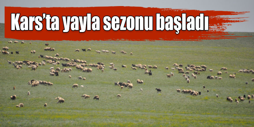 Kars’ta yayla sezonu başladı