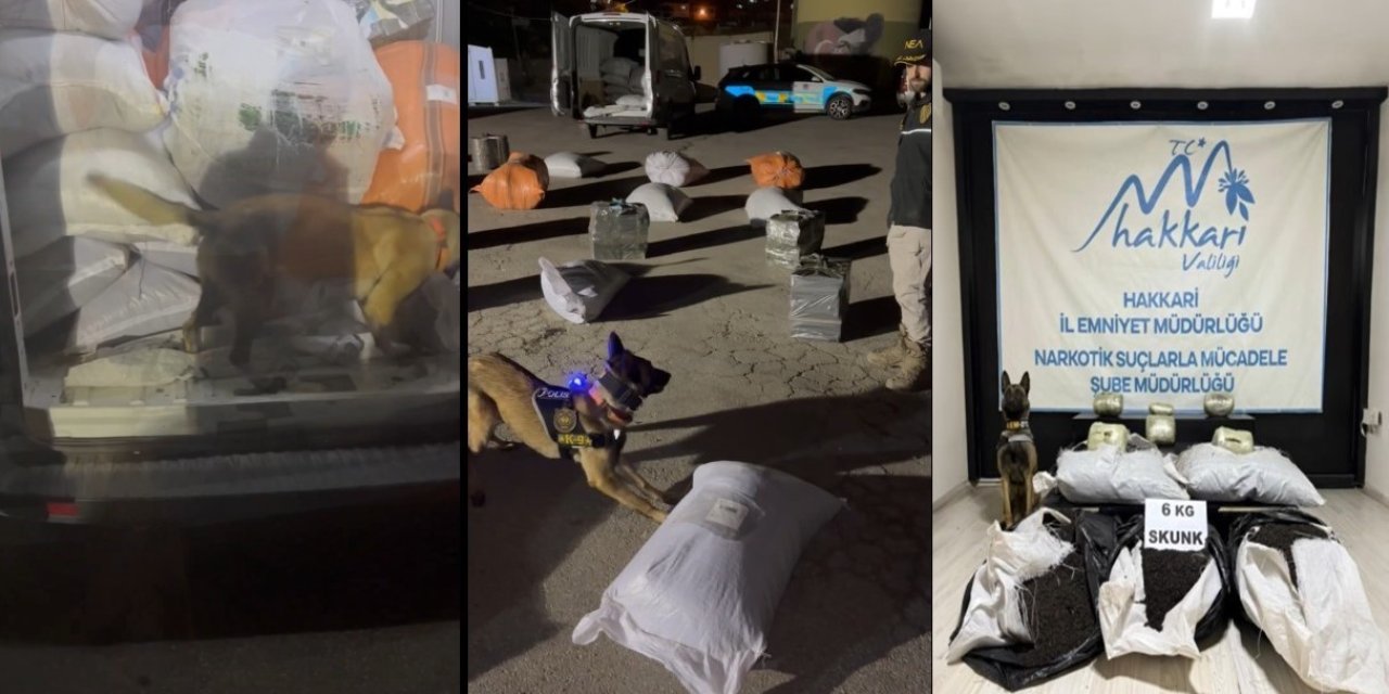 Yüksekova’da kargo aracında 6 kilo skunk ele geçirildi