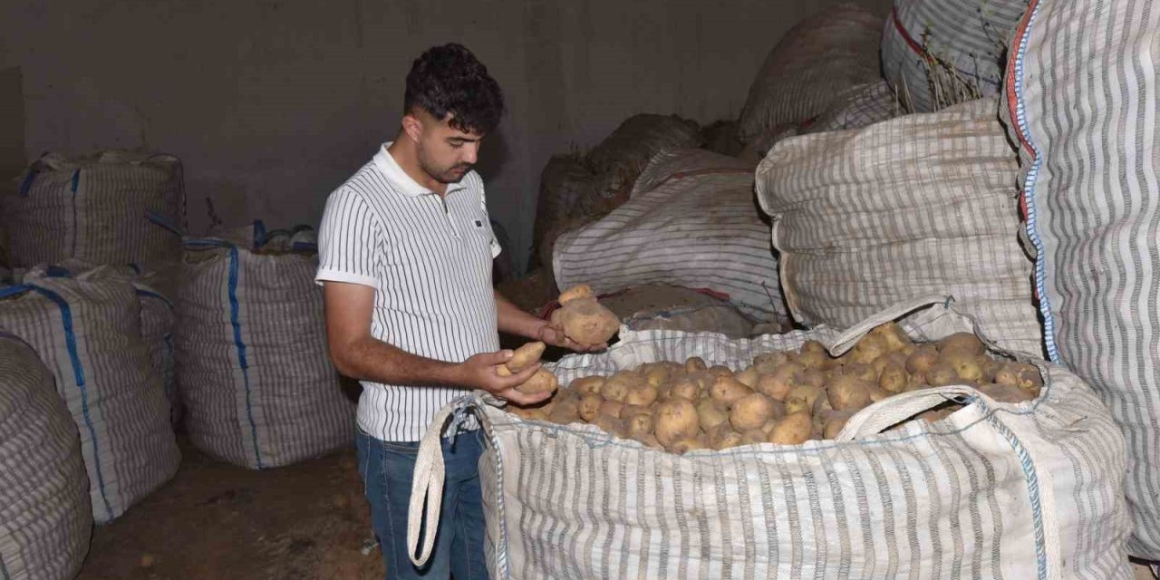 Ahlat’ta binlerce ton patates alıcı bekliyor