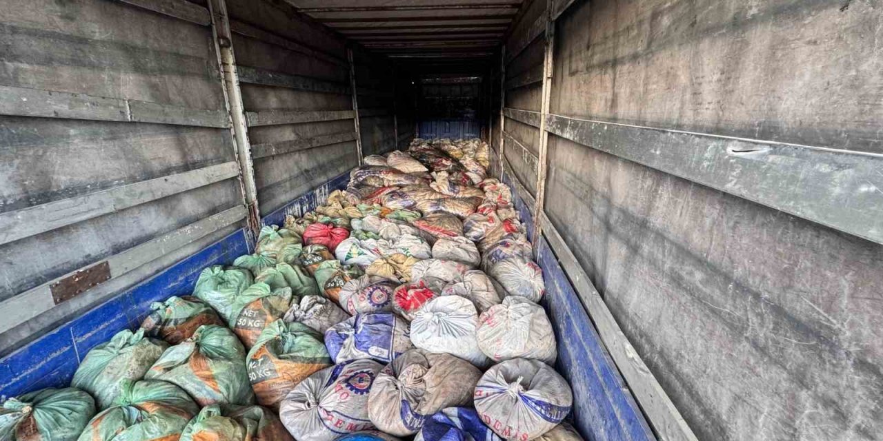 Van’da 22 ton 475 kilogram kaçak avlanmış balık ele geçirildi