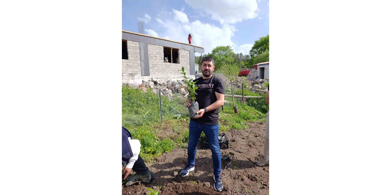 Ardahan’da bir ilk; Çay kökleri toprakla buluştu