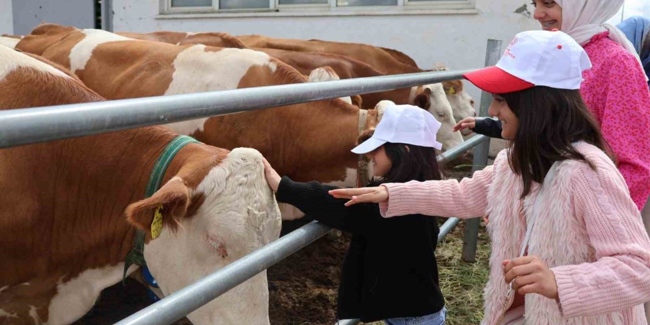 Aileyle üretim yolculuğu: Modern tesislerden tandıra, nesiller buluştu