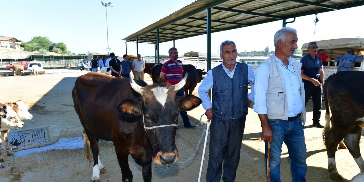 Yeşilyurt Belediyesi 41 noktada kurban satış ve kesim yeri belirledi