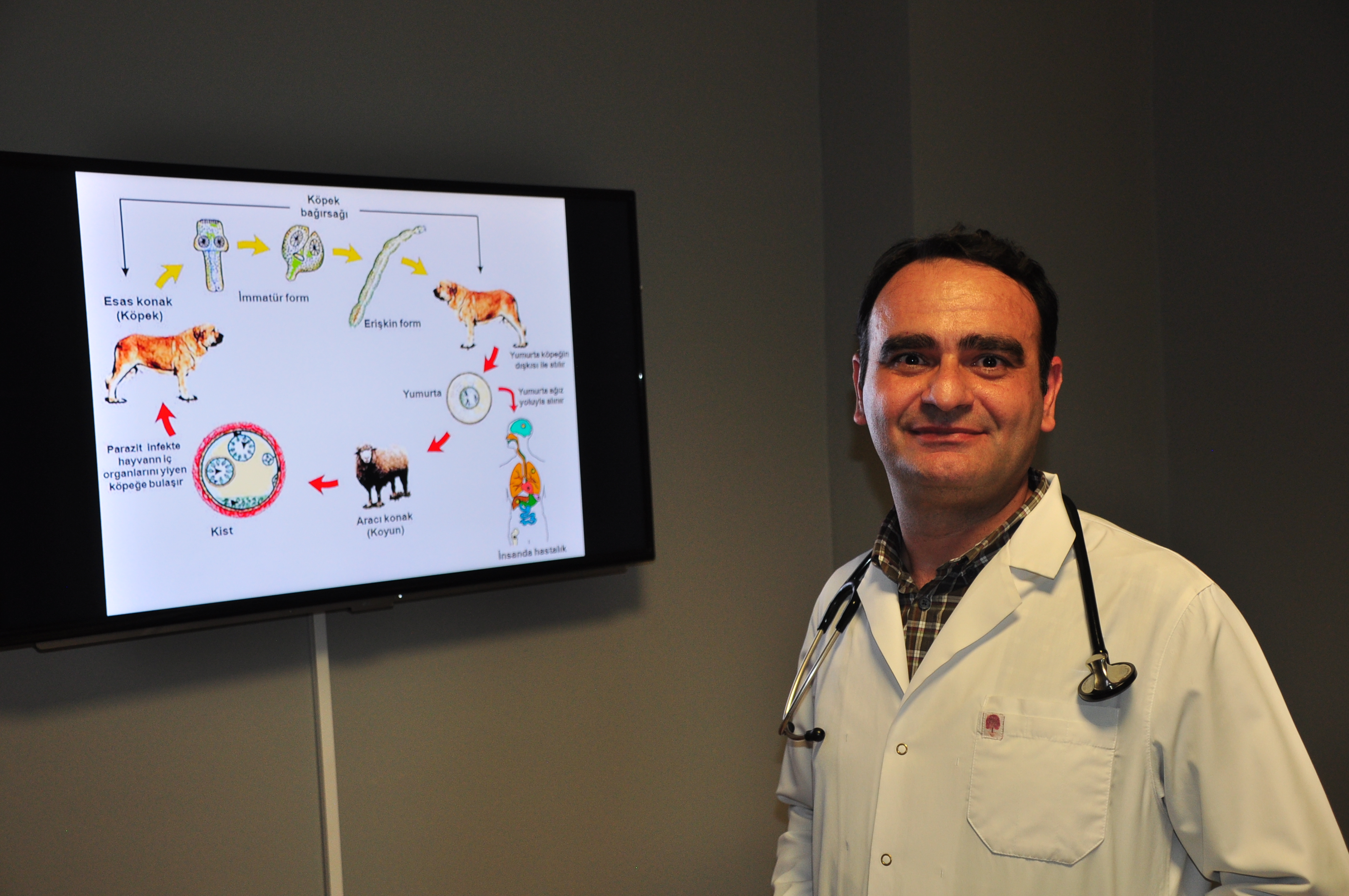 Kurban Bayramı öncesi kist hidatik hastalığına dikkat çekildi