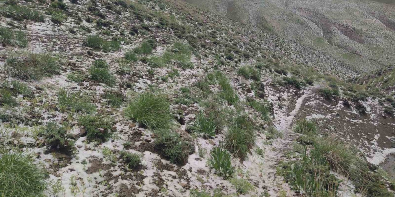 Haziran ayında kar sürprizi: Erek Dağı’nın etekleri beyaza büründü