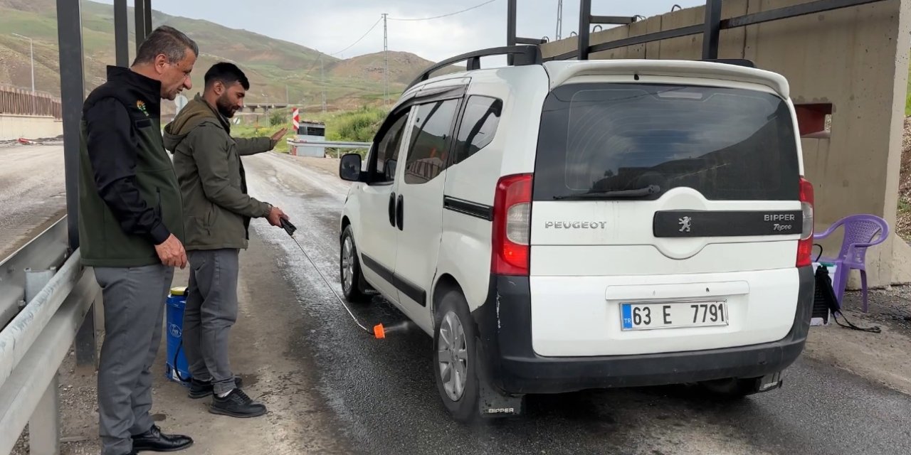 Yüksekova’da şap hastalığı alarmı