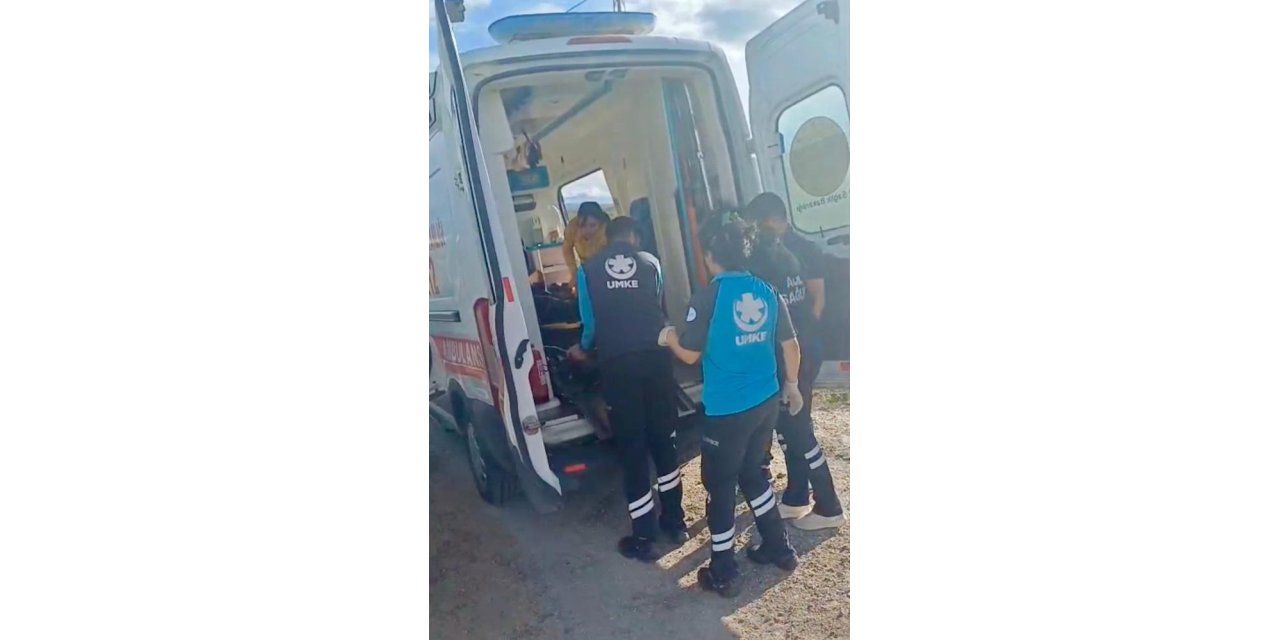 Kars’ta yaylada kayalıktan düşen çoban yaralandı