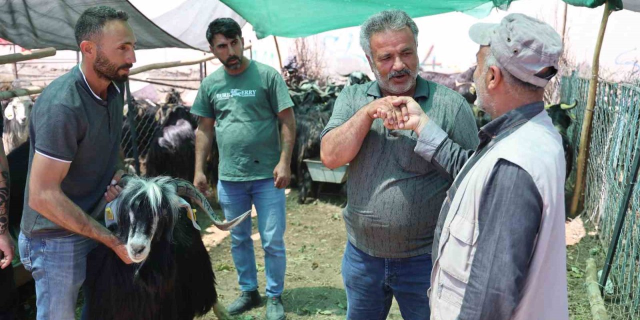 Elazığ’da ’kol kıran’ pazarlıklar sürüyor