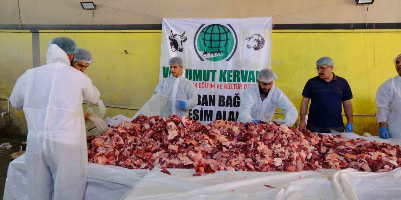 Van’da geleneksel toplu kurban kesimi