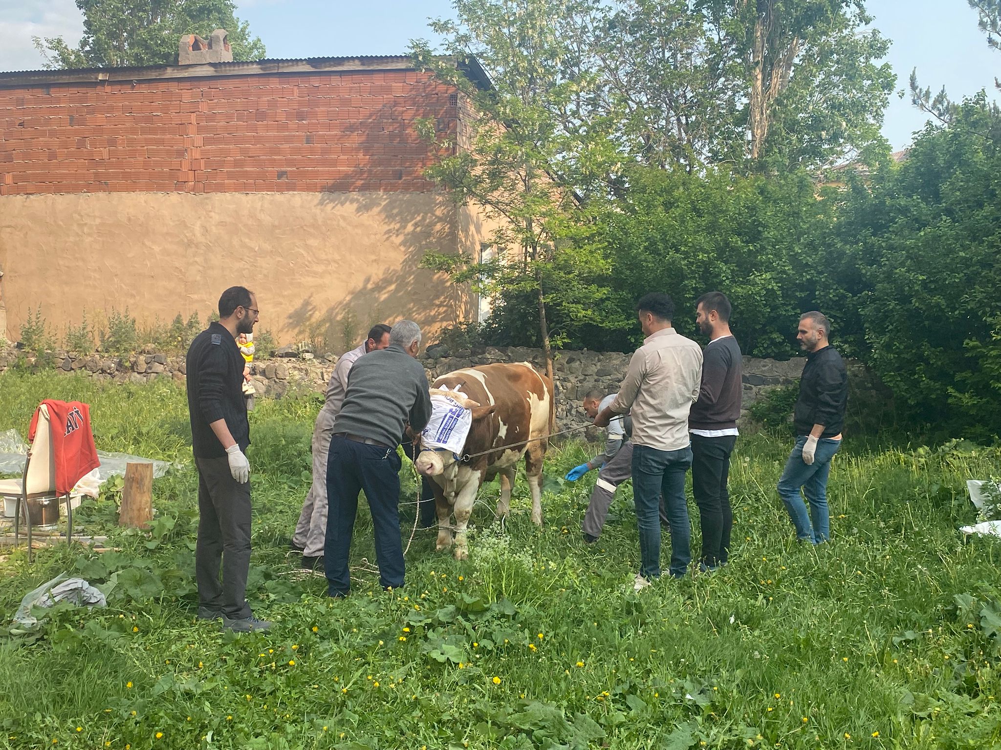 Kars'ta kurbanlar kesilmeye başlandı!