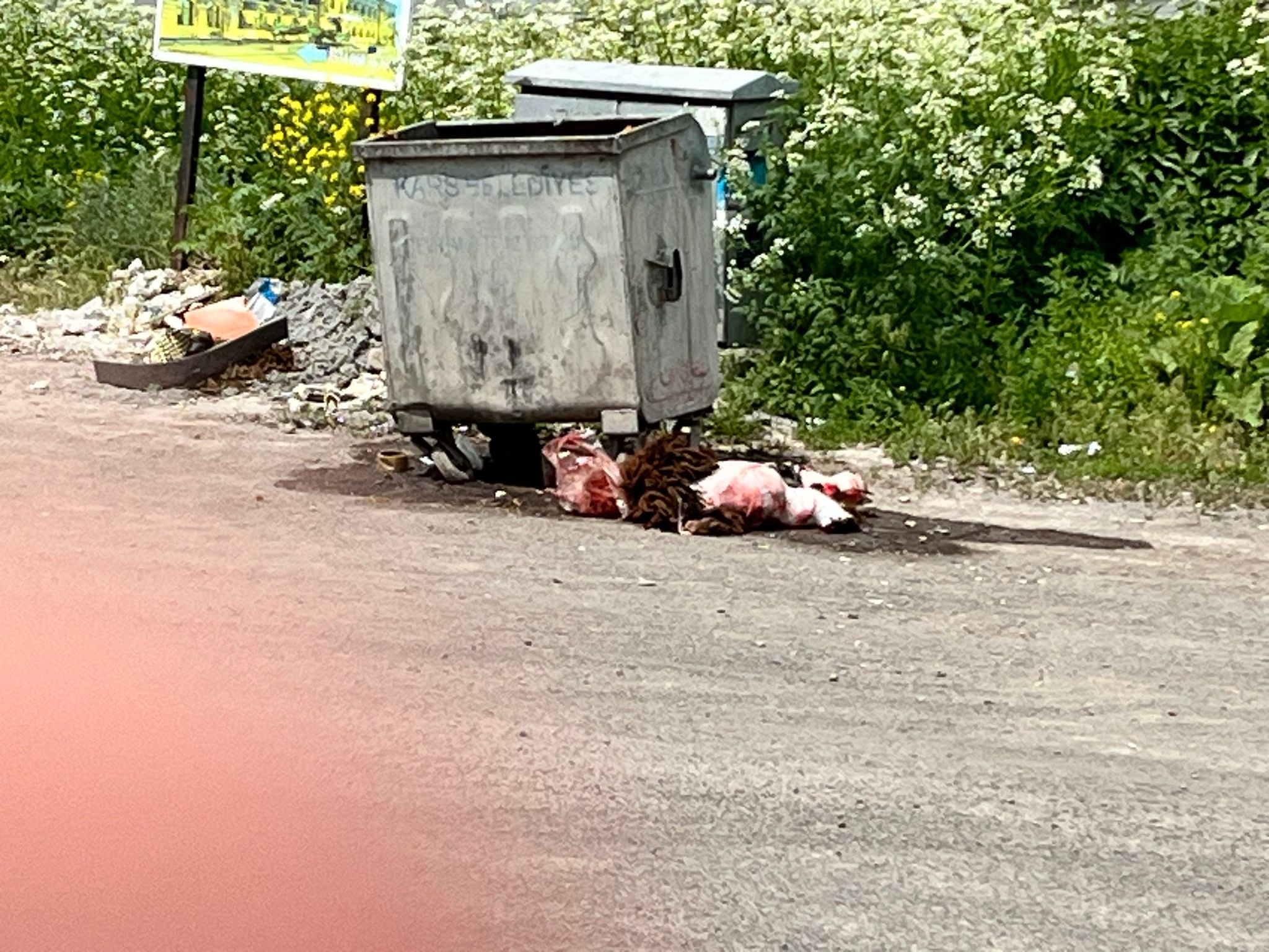 Kars’ta Kurbanlarını Kesen Bazı Vatandaşlar Hayvansal Atıklarla Çevreyi Kirletti