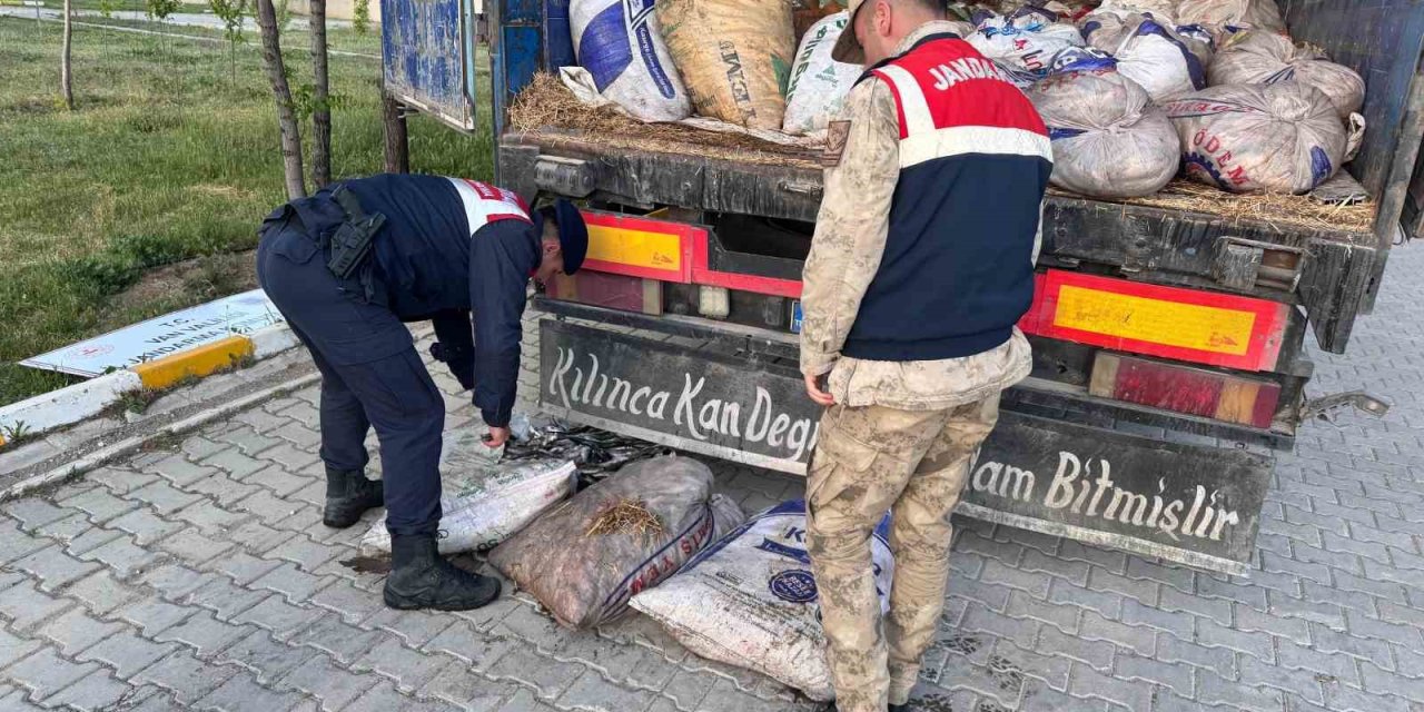 Van’da 19 ton 200 kilo inci kefali balığı ele geçirildi
