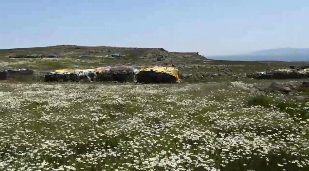 Kars’ta köylüler yaylaları imece usulü hazırlıyor