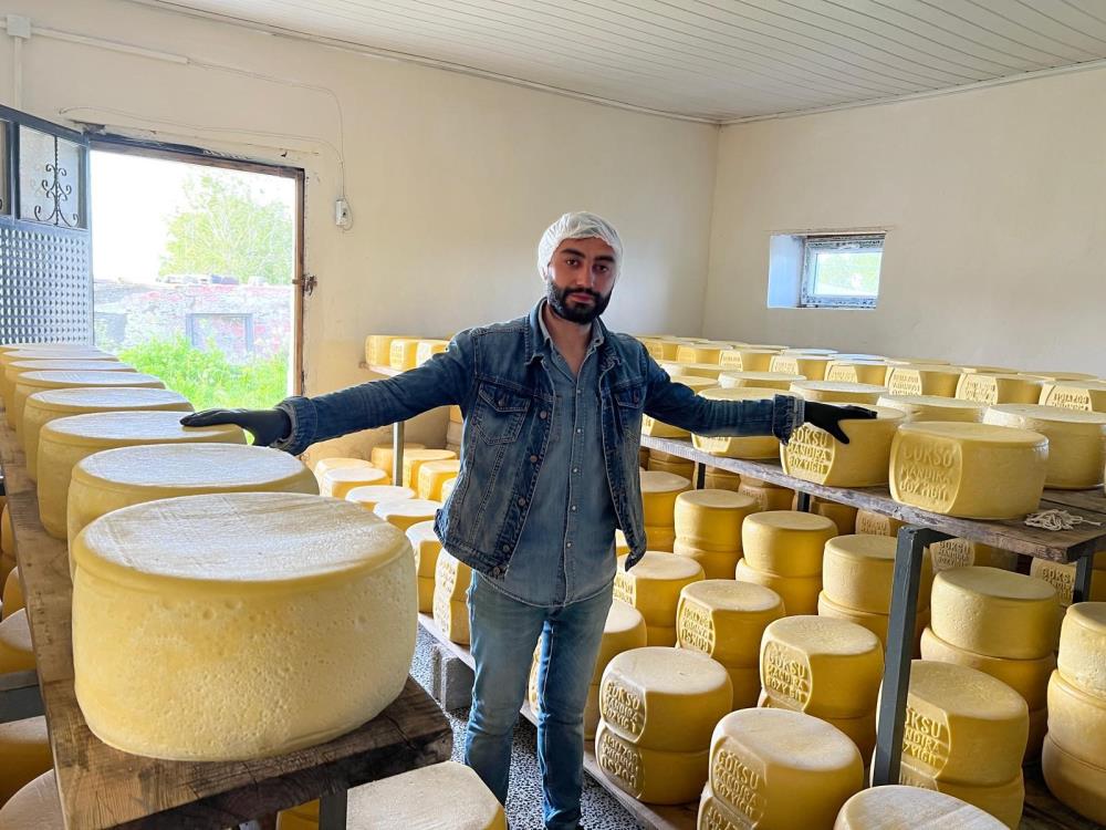 Kars’ta tonlarca süt, eski kaşar için işleniyor