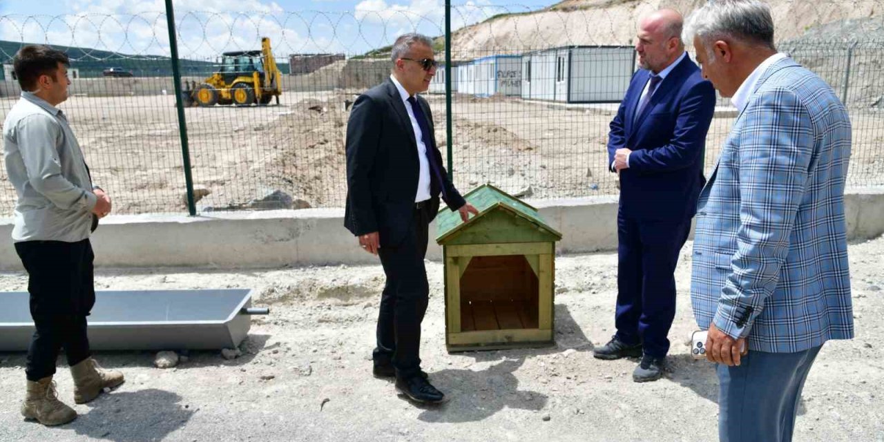 Ardahan’da sahipsiz hayvanlara yeni bir yuva