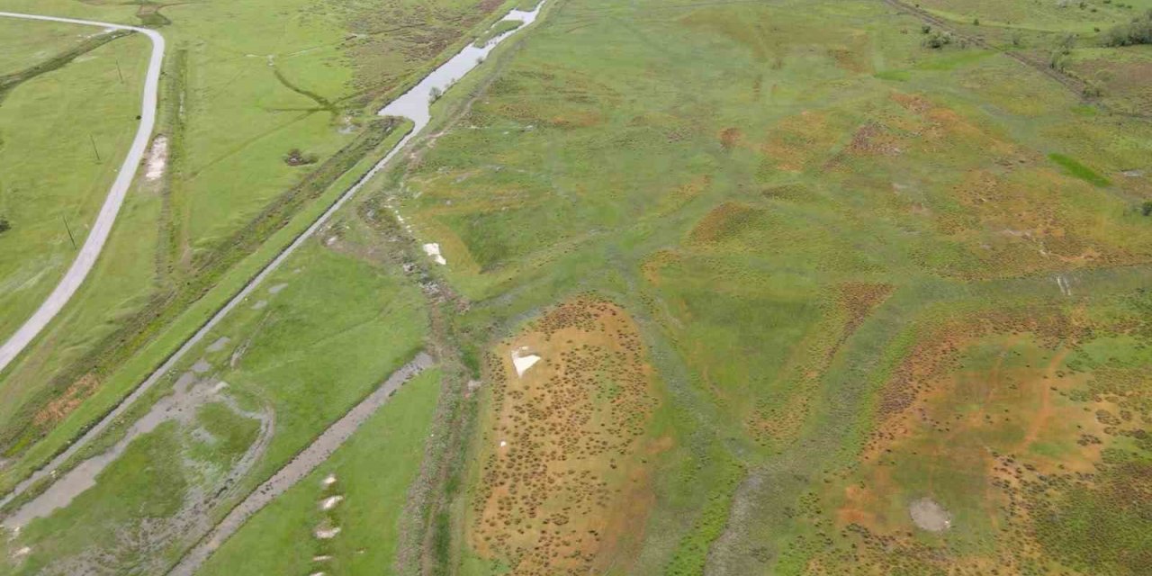 Gölpınar merasına devlet eli değdi