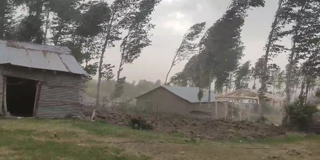 Muş’ta fırtına ağaçları ve elektrik direklerini devirdi