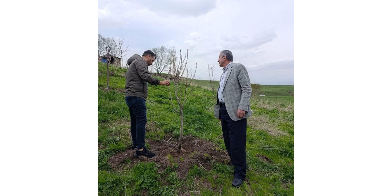 Hamur’da Çiftçilere budama ve aşılama eğitimi verildi