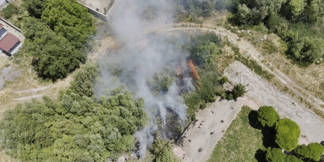 Adilcevaz’da Van Gölü sahilinde yangın paniği: Kafe yakınında sazlık alan yangını
