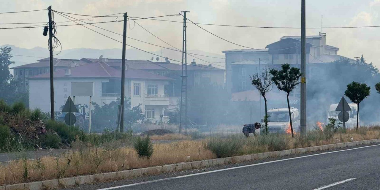 Iğdır’da yaşlı kadın uluslararası yolun ayırıcı kısmındaki otları ateşe verdi