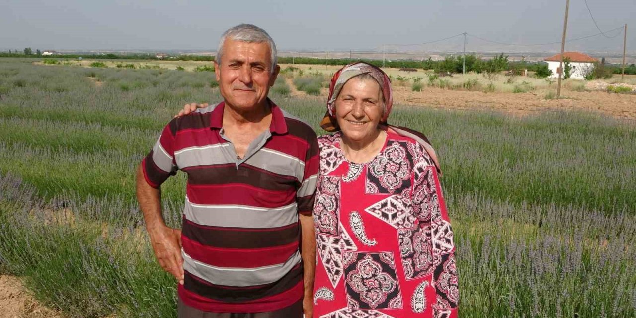 İnternetten gördüler, lavanta üreticisi oldular