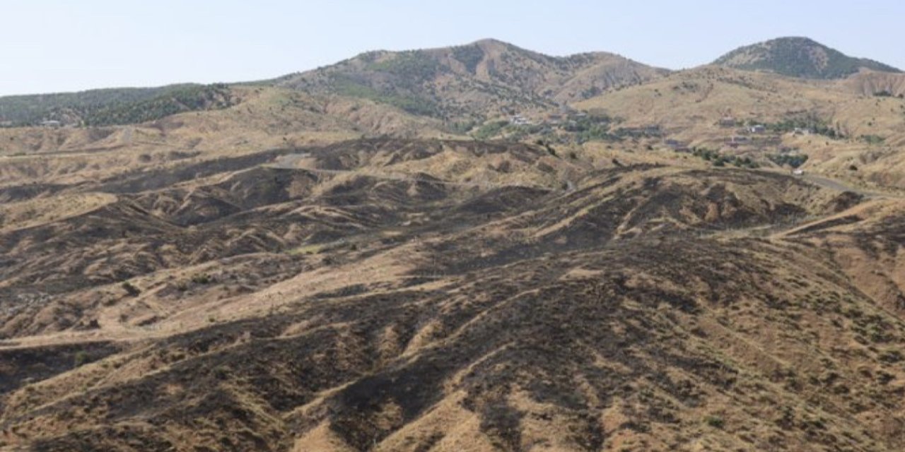 Bingöl’deki orman yangını söndürüldü