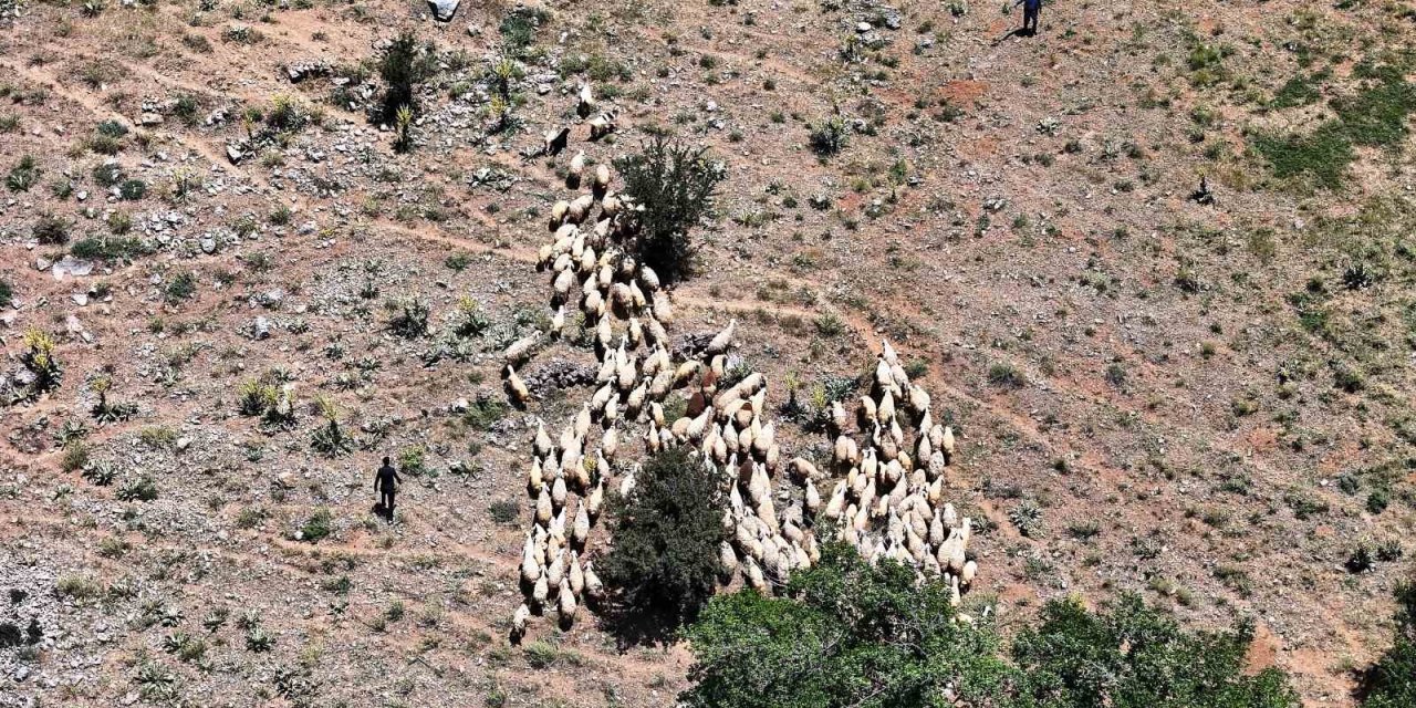 Yaylada zorlu şartlara rağmen üretmeye devam ediyorlar