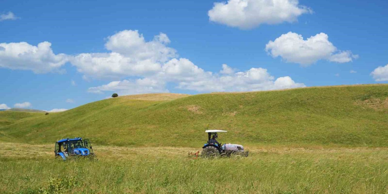 Muş’ta çiftçilerin ot biçme mesaisi başladı