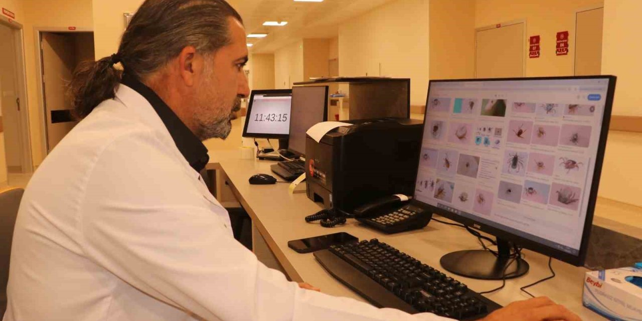 Uzmanından kene uyarısı; Kapalı giysileri tercih edin!