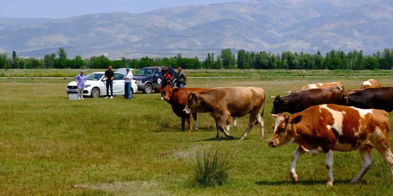 Meralarda su arama çalışmaları yapılıyor