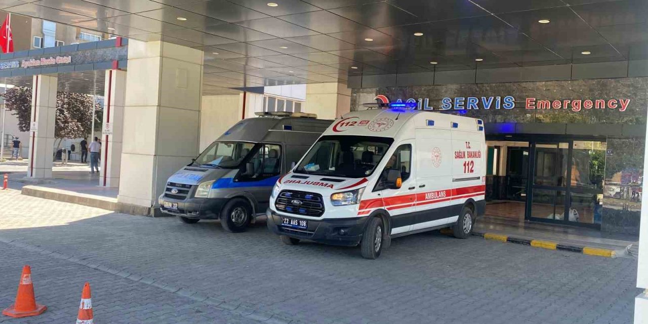 Ahırda süt sağan kadını kene ısırdı