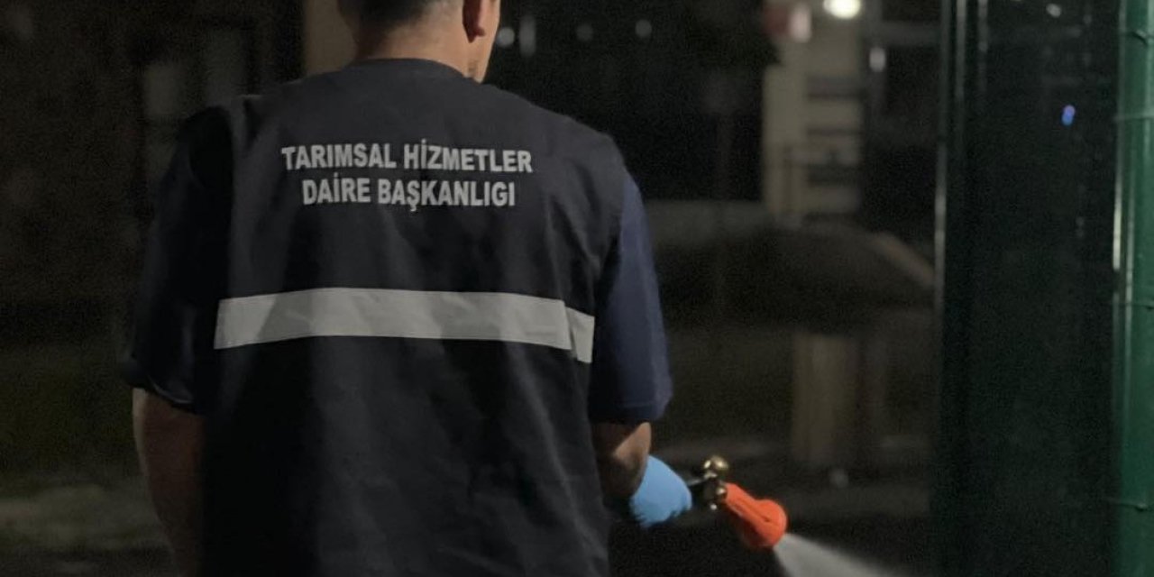 Büyükşehir’den ilaçlama atağı