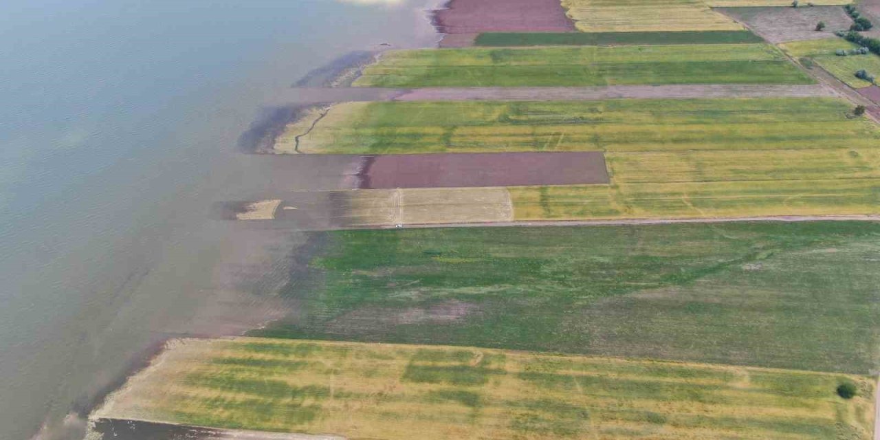 Baraj yükselince binlerce dönüm ekili alan su altında kaldı