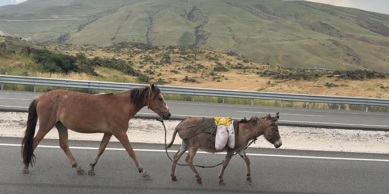 Iğdır’da sürüden ayrılan at ve eşek trafiği tehlikeye düşürdü