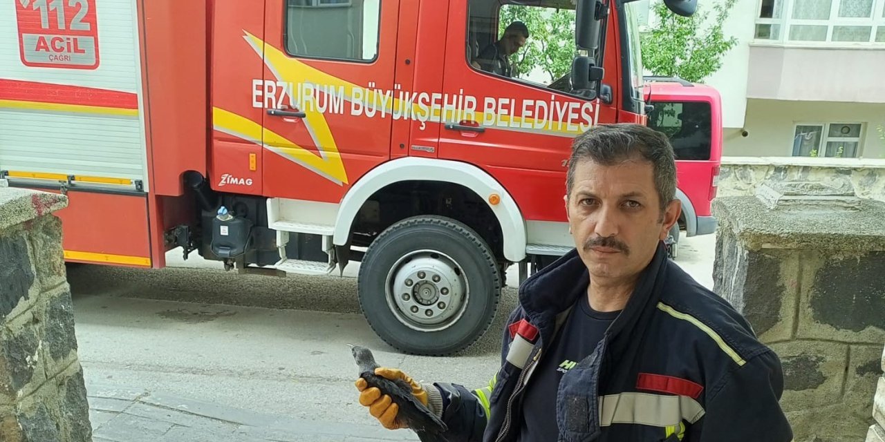Karga yavrusuna uzanan şefkat eli