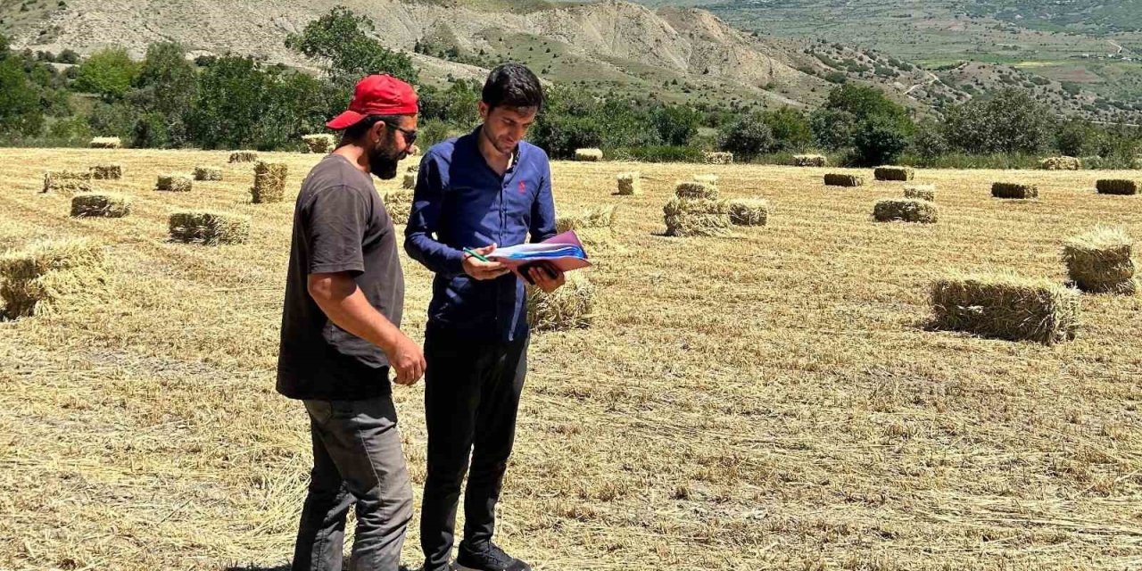 Erzincan genelinde yem bitkisi kontrolleri başladı