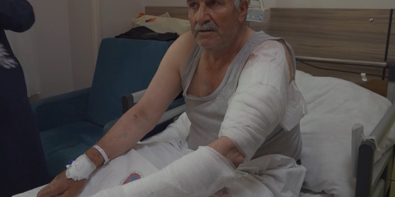Ot biçen vatandaş kurdun saldırısına uğradı