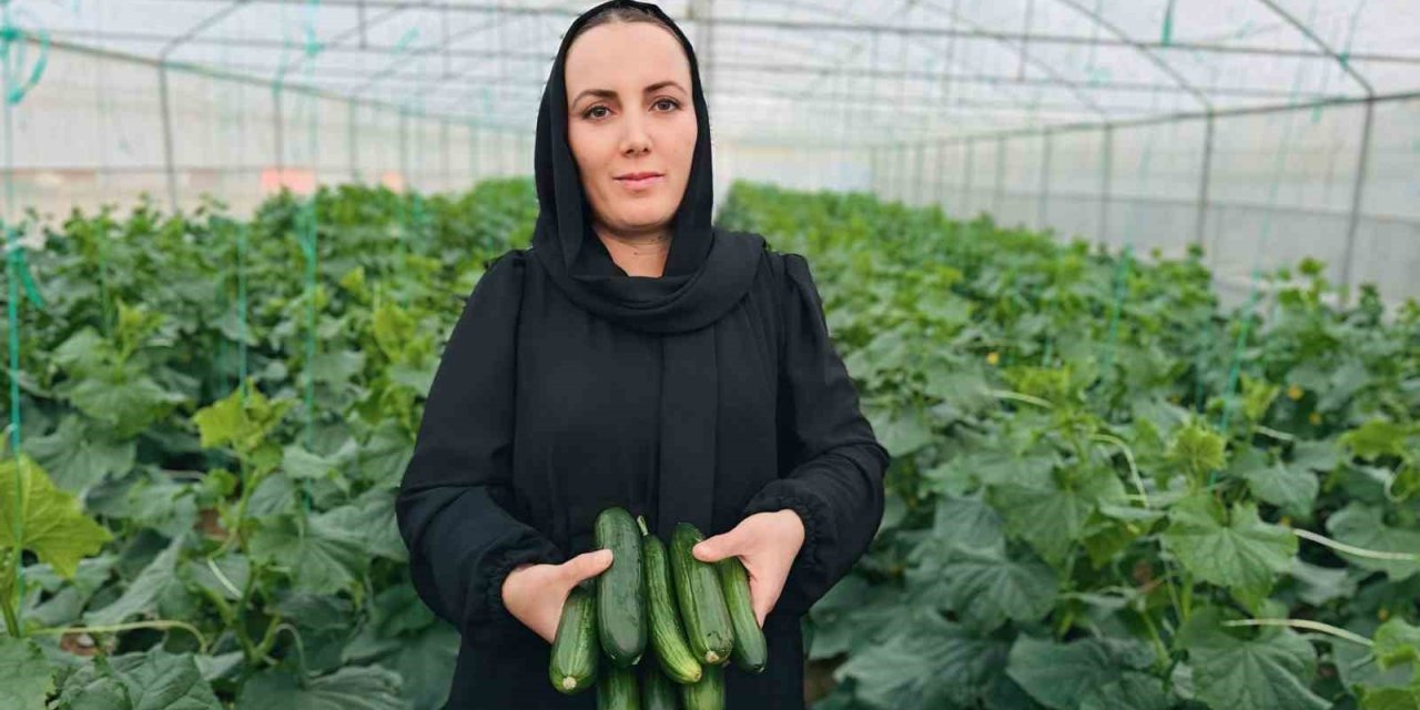 Irak’tan Yüksekova’ya uzanan başarı öyküsü
