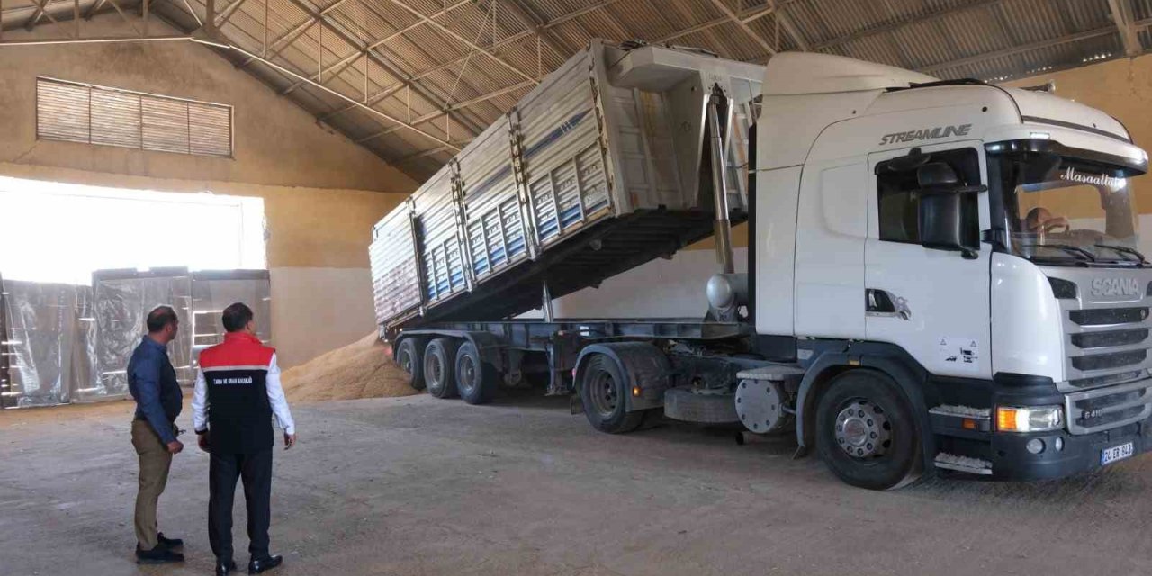 Erzincan’da hububatta ilk hasat başladı